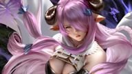 Granblue Fantasy (Narmaya Close)